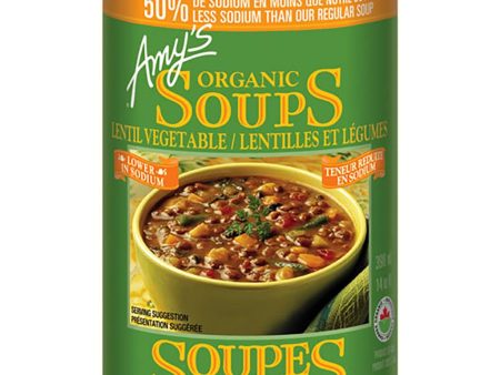 Soupe Lentilles & Légumes Bio Teneur Réduite en Sodium For Sale