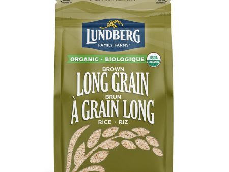 Riz Brun à Grain Long Biologique Online Sale