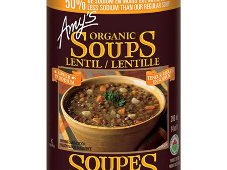 Soupe Lentilles Bio Teneur Réduite en Sodium Online Sale