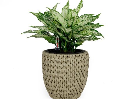 10.6  Self-watering Wicker Planter - Garden Decoration Pot - Beige - Round Online now