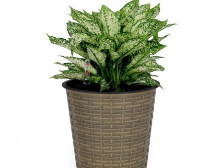 10.2  Self-watering Wicker Decor Planter for Indoor and Outdoor - Round - Natural Sale