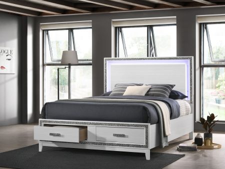 ACME Haiden QUEEN BED W STORAGE LED & White Finish BD01425Q Discount